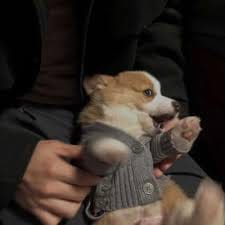 ชนาธิป สรงกระสินธ์ avatar